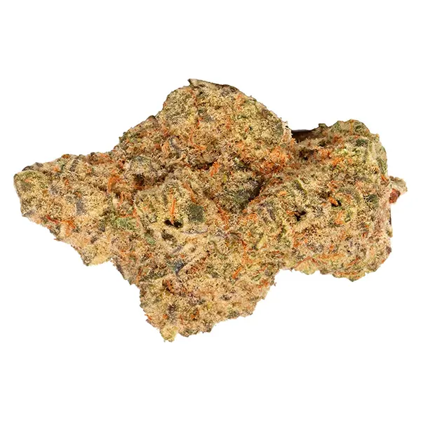 Bud image for Georgia Cream, cannabis all products by Tuck Shop