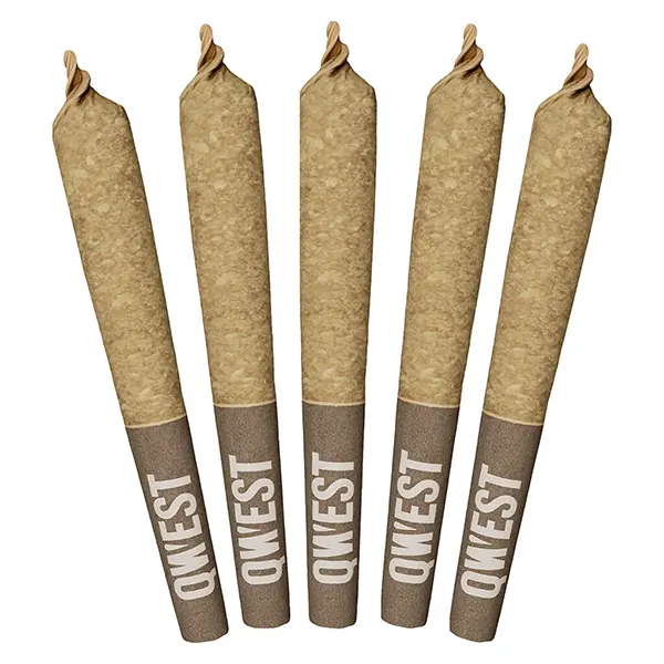 Image for Georgia Pie Pre-Roll, cannabis pre-rolls by Qwest