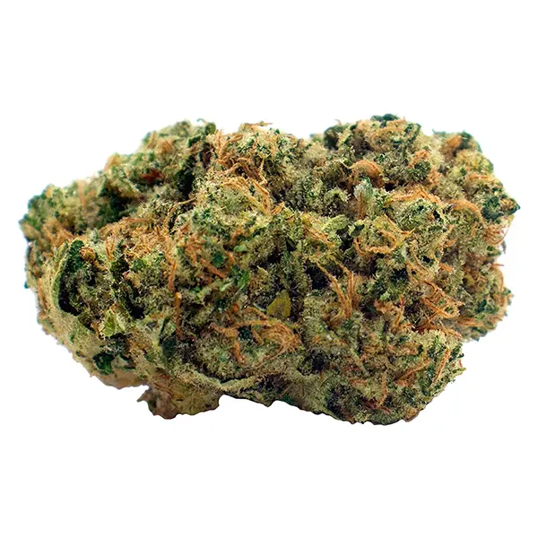 Bud image for GMO LFG, cannabis dried flower by Tweed