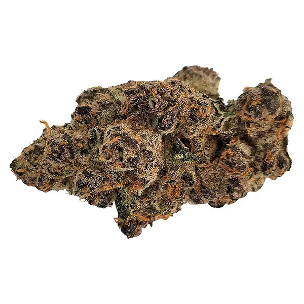Bud image for Hallee Berry, cannabis dried flower by The Oz Store