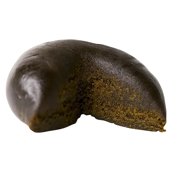 Image for Haschtag Full Buzz