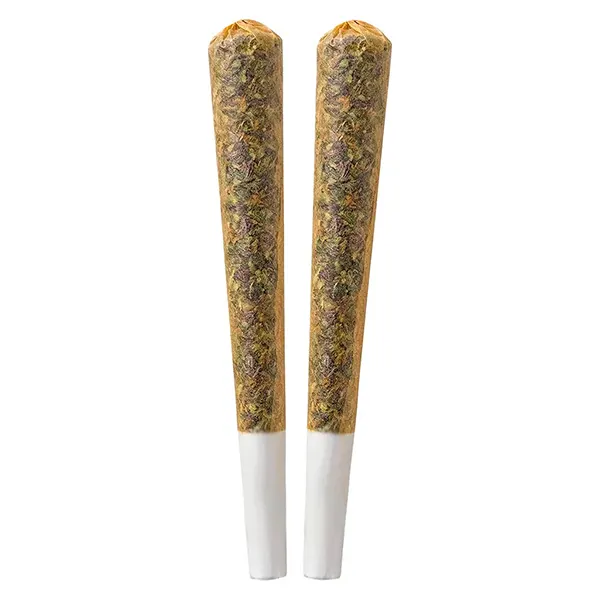Image for House Sativa Pre-Roll, cannabis all products by Bud Basics