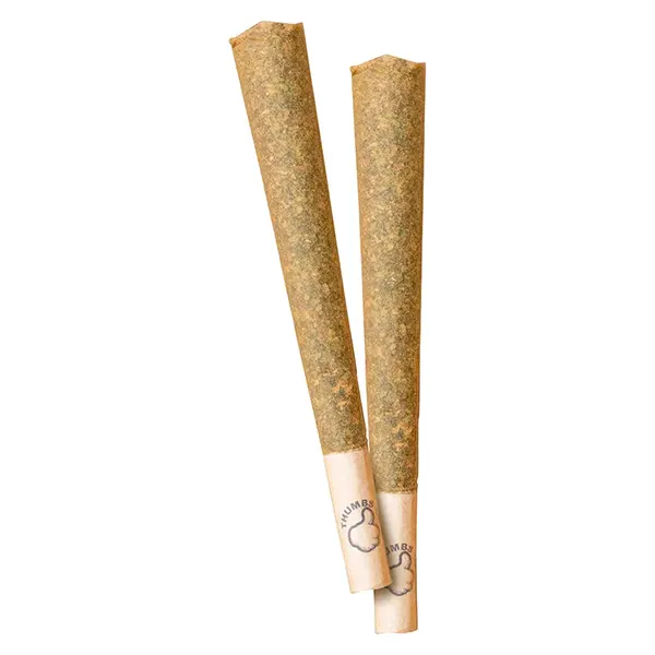 Image for Hybrid Pre-Roll