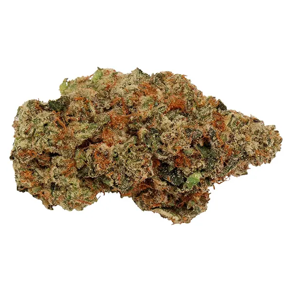 Bud image for Jelly Donut, cannabis dried flower by Carmel