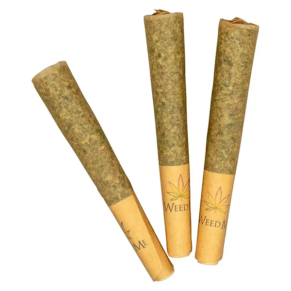 Image for JOKERZ Pre-Roll, cannabis all products by Wink