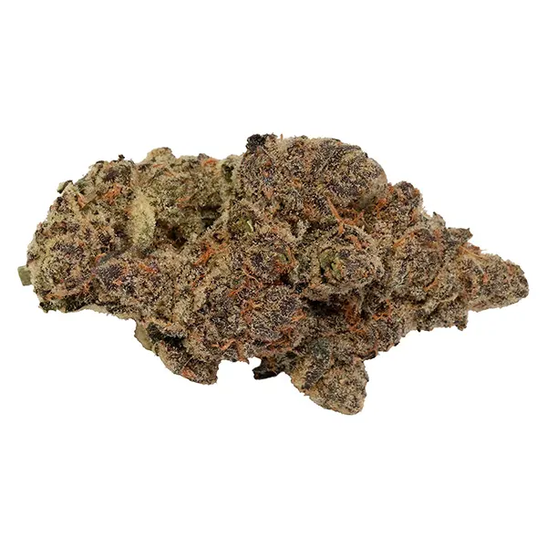 Bud image for Jungle Juice, cannabis dried flower by Carmel