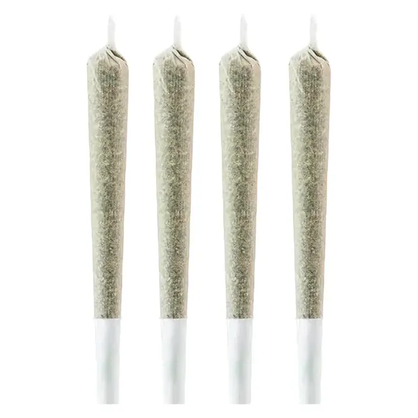 Image for Large Snack Pack Indica Pre-Roll