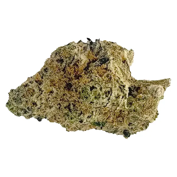 Image for Nightmare Nugs