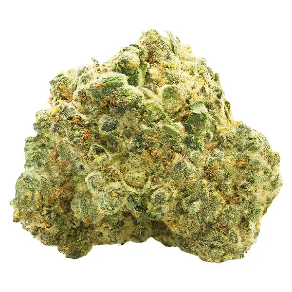 Image for OG Kush