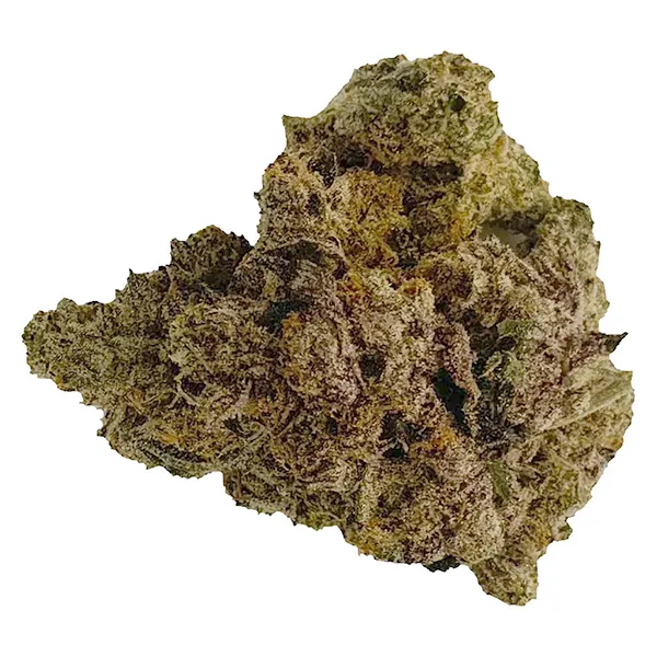 Bud image for Purple Kush, cannabis dried flower by The Oz Store