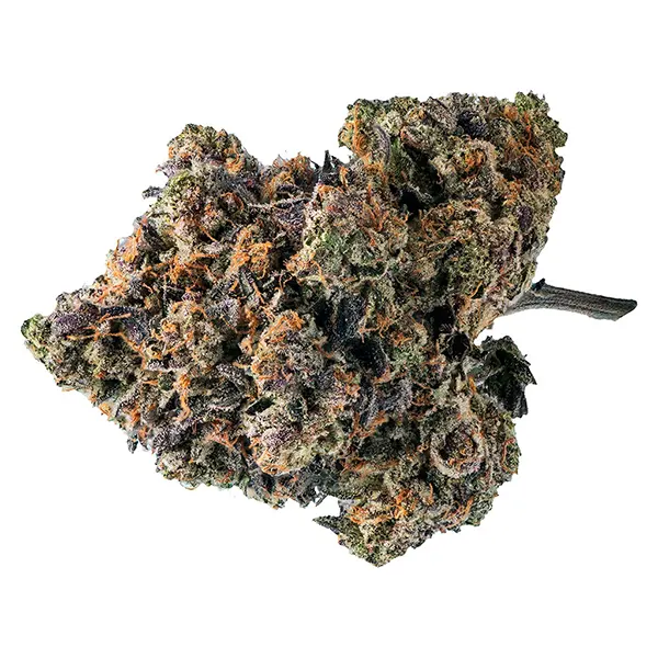 Bud image for Rare Genetics, cannabis dried flower by QUAD Farmers
