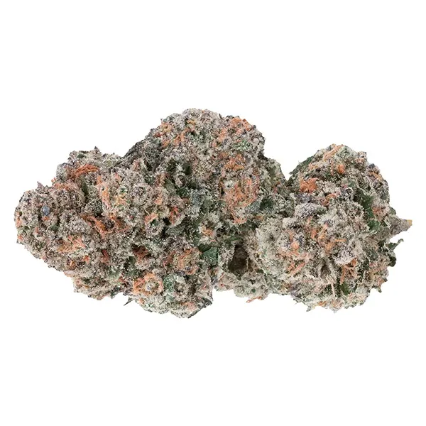 Image for Sour Congo