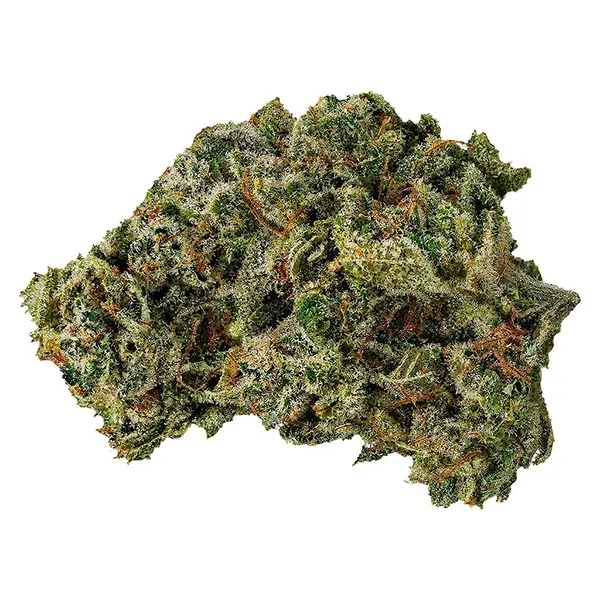 Image for Sour Dubb