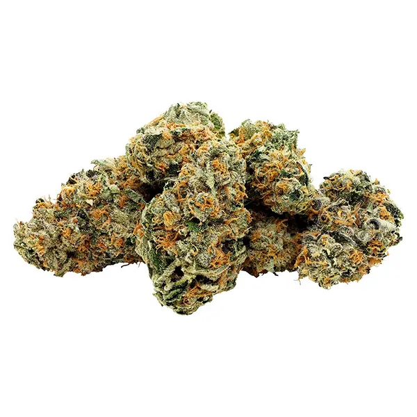 Plant Bud by Starting Point