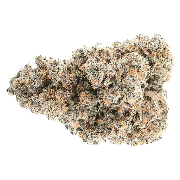 Bud image for Super Boof, cannabis dried flower by Coterie