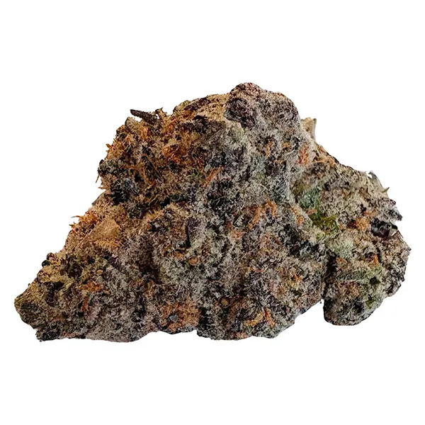 Super Lemon Cher..