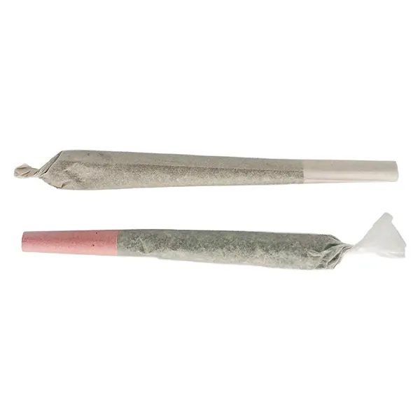 Image for Toto's Tokers Pre-Roll, cannabis pre-rolls by The Oz Store
