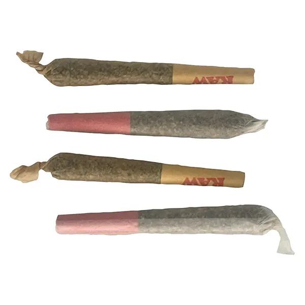 Image for Trick or treat Pre-Roll, cannabis pre-rolls by The Oz Store