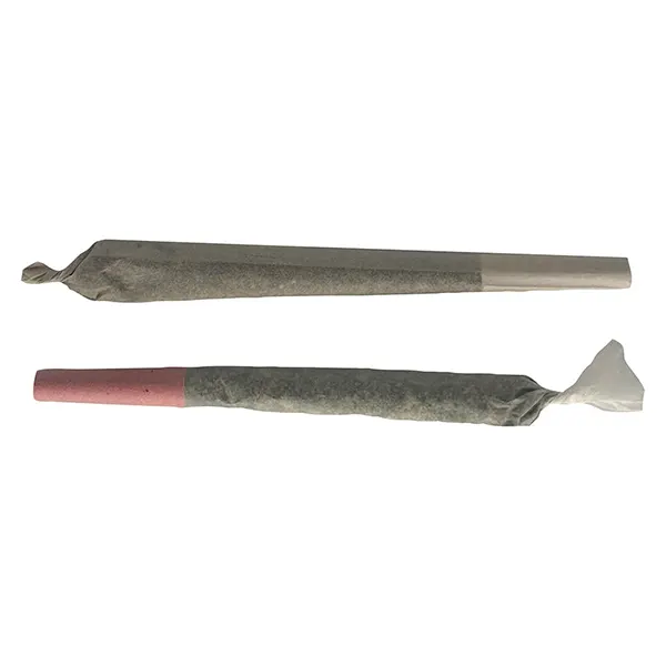 Image for Trick or Treat Pre-Roll, cannabis pre-rolls by The Oz Store