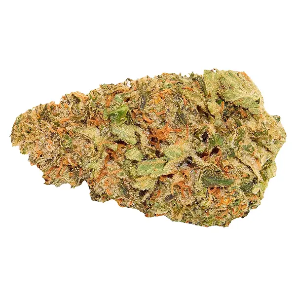 Bud image for Where's My Bike, cannabis all products by Good Supply