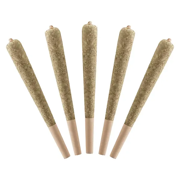 Image for Wild Berry Infused Pre-Roll, cannabis all products by Standard Issue