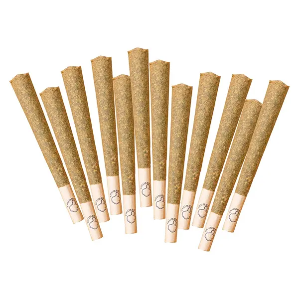Image for Advent Calender Pre-Roll, cannabis pre-rolls by Thumbs Up