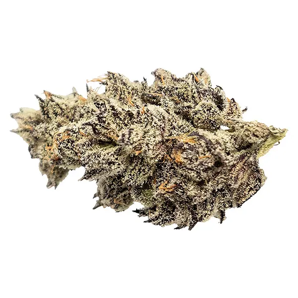 Bud image for Animal Junky Premium Craft Dried Whole Flower, cannabis dried flower by Seaweed