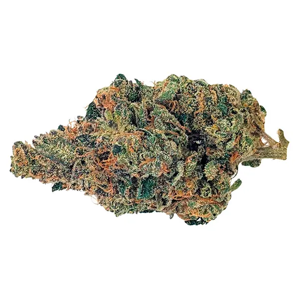 Bud image for BC Organic Caviar-Z, cannabis dried flower by Simply Bare