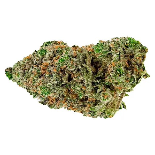 Bud image for BC Organic Hibachi Blue, cannabis dried flower by Simply Bare