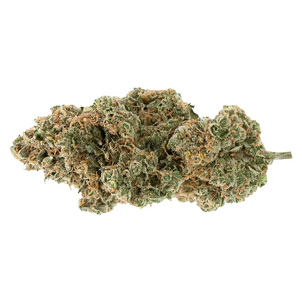 Bud image for BC Organic Tangerine Sunrise, cannabis dried flower by Simply Bare