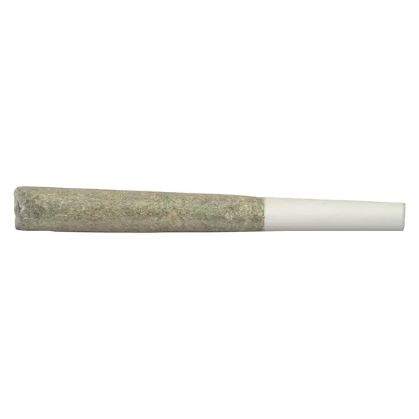 Image for Blanh Indica Pre-Roll