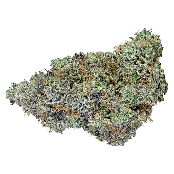 Bud image for Cake N Runtz, cannabis dried flower by Purplefarm