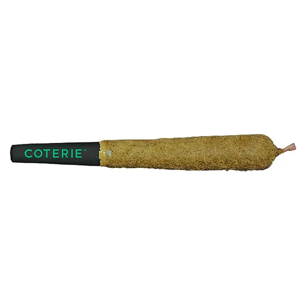 Image for Double-Infused Grape Gotti Pre-Roll