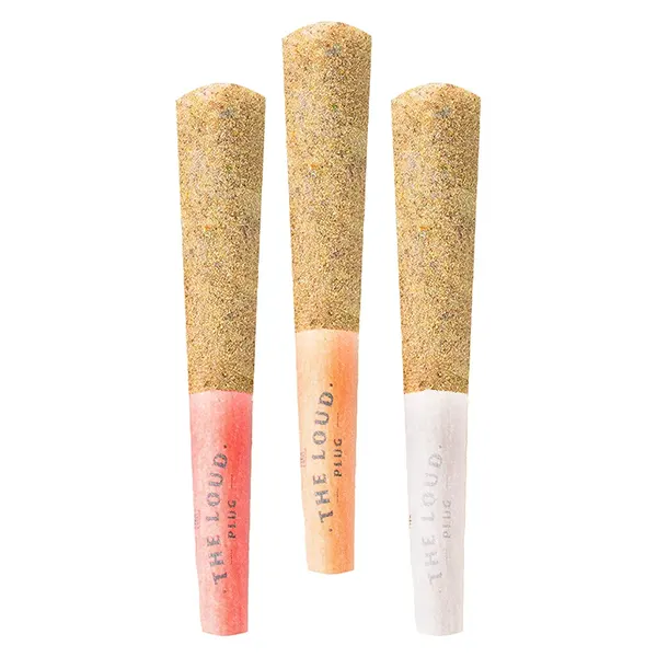 Image for Drippyz Tropic Flavours Multipack Infused Pre-Roll, cannabis all products by The Loud Plug
