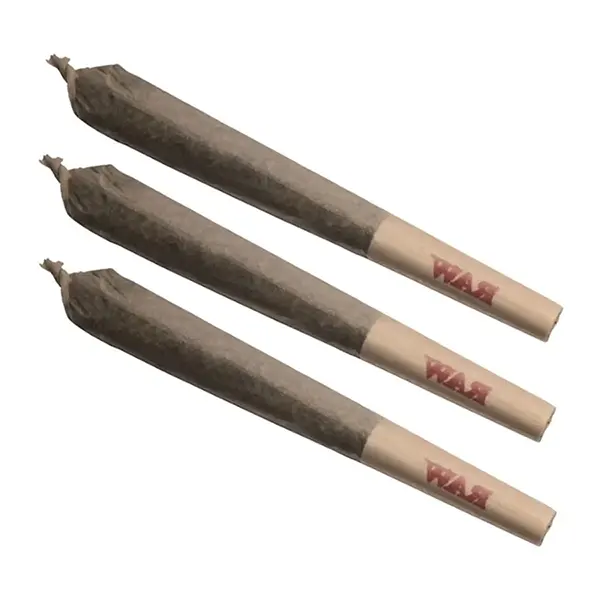 Image for THC Sativa Pre-Roll, cannabis all products by THC BioMed