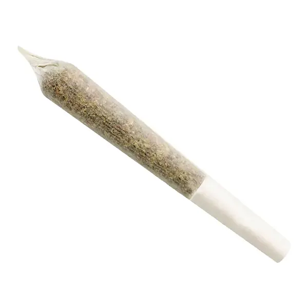 Image for Sour Cookies Pre-Roll, cannabis all products by Ignite