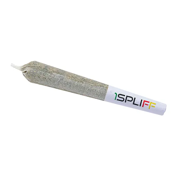 Image for 1Spliff Pre-Roll, cannabis pre-rolls by 1Spliff