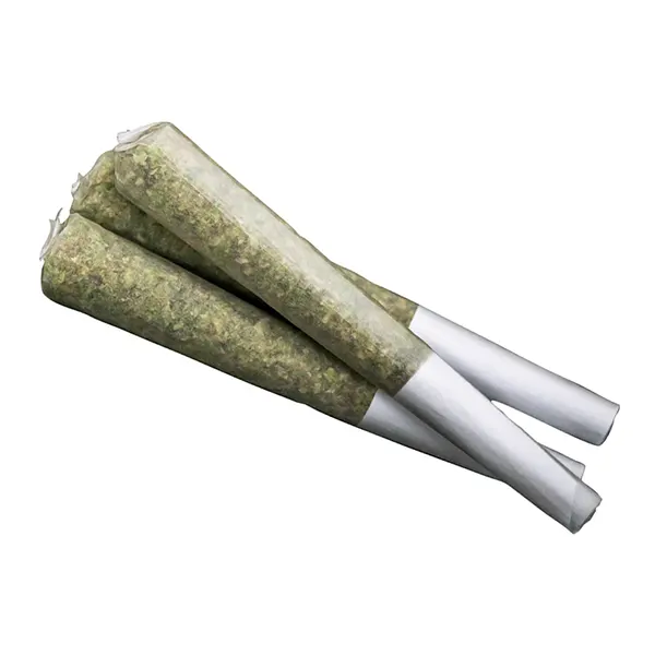 Image for 33 Splitter Pre-Roll, cannabis pre-rolls by True Fire