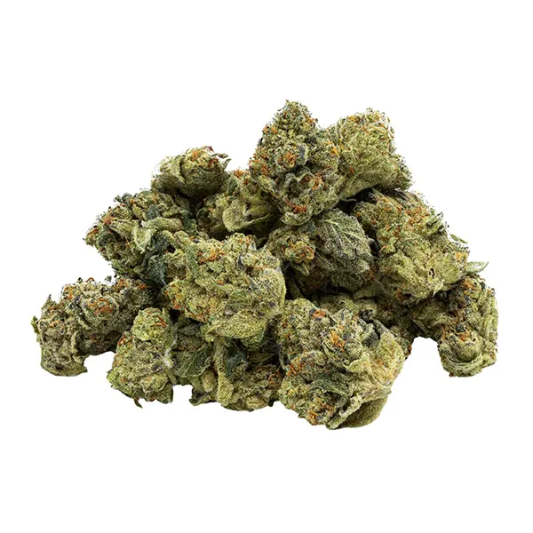 Bud image for 93 Octane, cannabis dried flower by Endgame