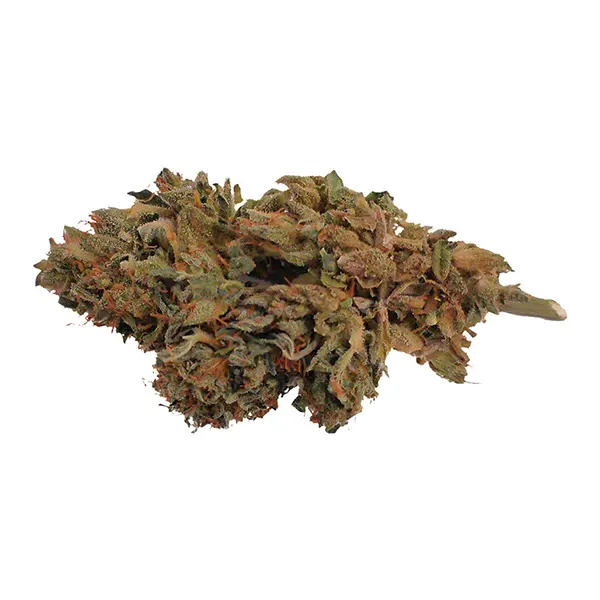 Ambassador Organic Craft CBD Flower (Dried Flower) by HCBD Organics