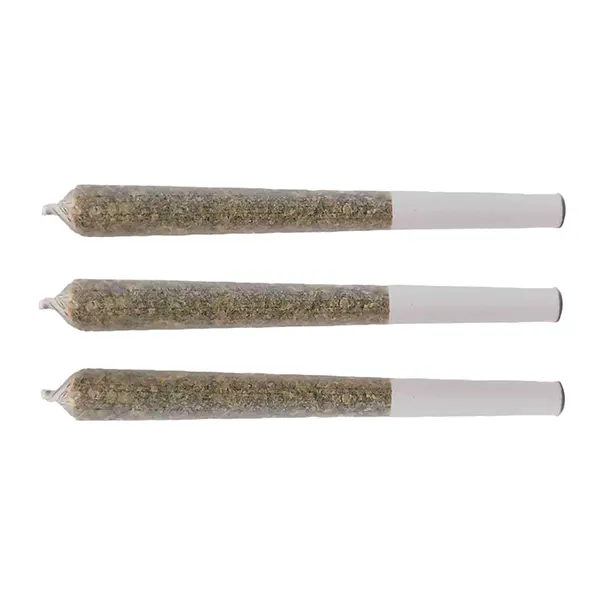 After Eighth Pre-Roll (Pre-Rolls) by Victoria Cannabis