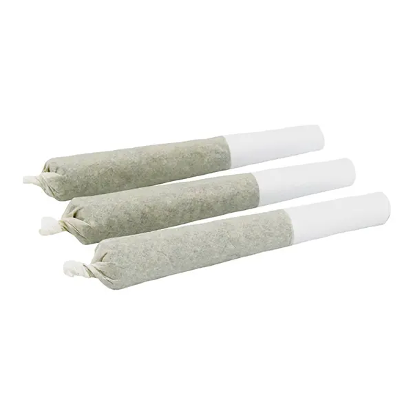 Alaskan TF Pre-Roll (Pre-Rolls) by Top Leaf