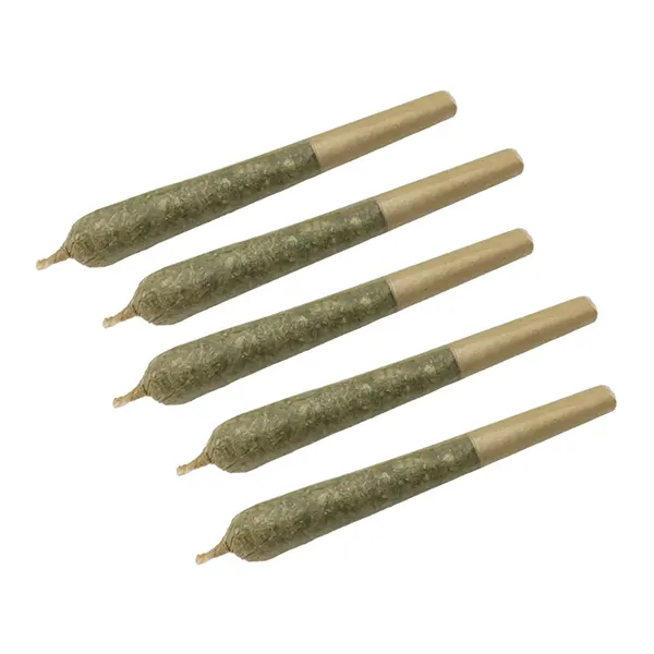 Image for Apricot Cream x Cheese 1:1 Pre-Roll, cannabis all products by Clem & Co