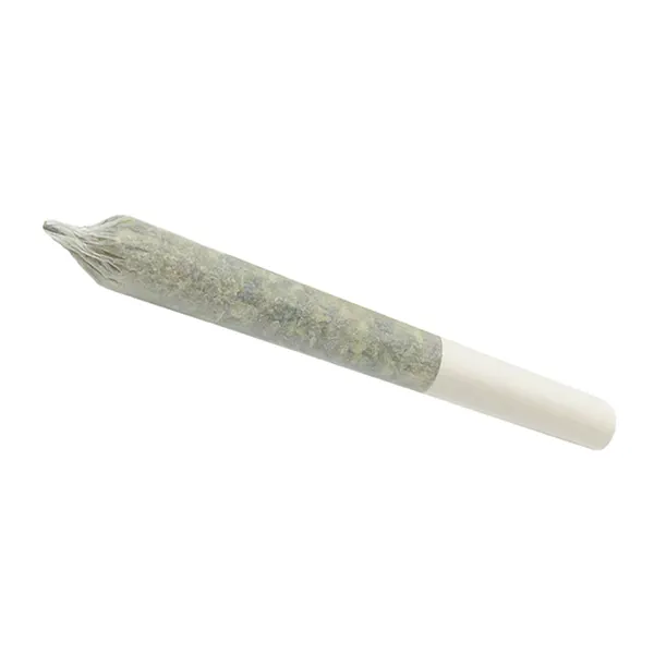 Artisan Pre-Roll (Pre-Rolls) by Homage