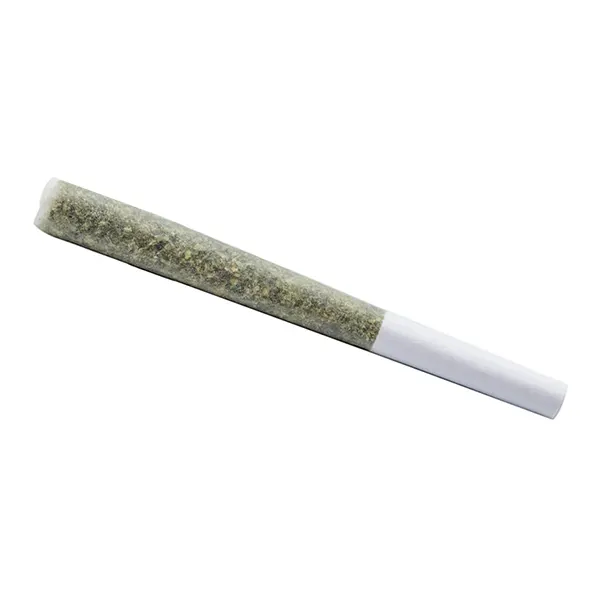 Astrono Pre-Roll (Pre-Rolls) by ONO