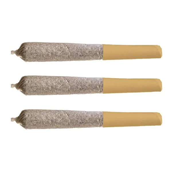 Image for Banana Cream Pre-Roll, cannabis all products by Potluck