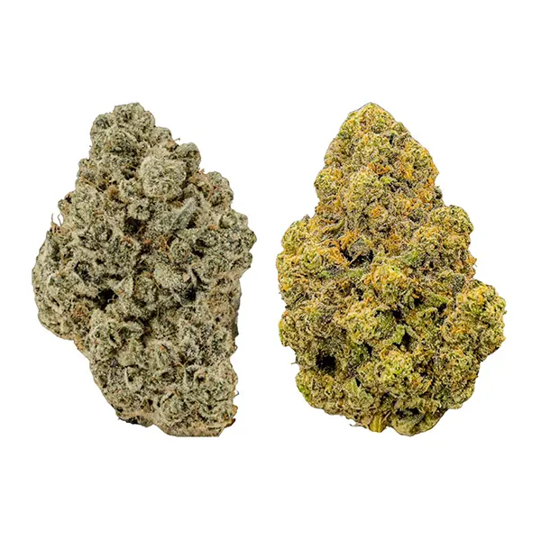 BC Craft Indica Vs. Sativa Discovery Pack