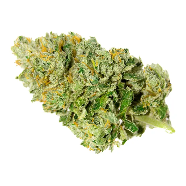 Product image for Versus Cannabis Flower by SNDL Inc