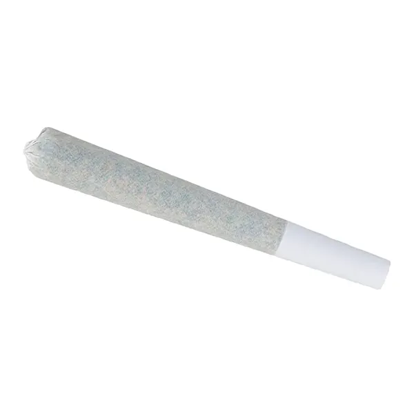 BC Organic Dancehall Pre-Roll (Pre-Rolls) by Coast Mountain Cannabis