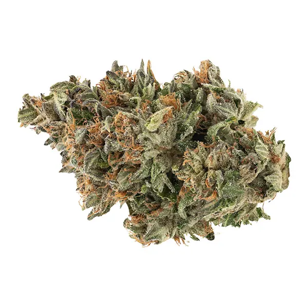 Bud image for BC Organic Fire OG, cannabis all products by Simply Bare